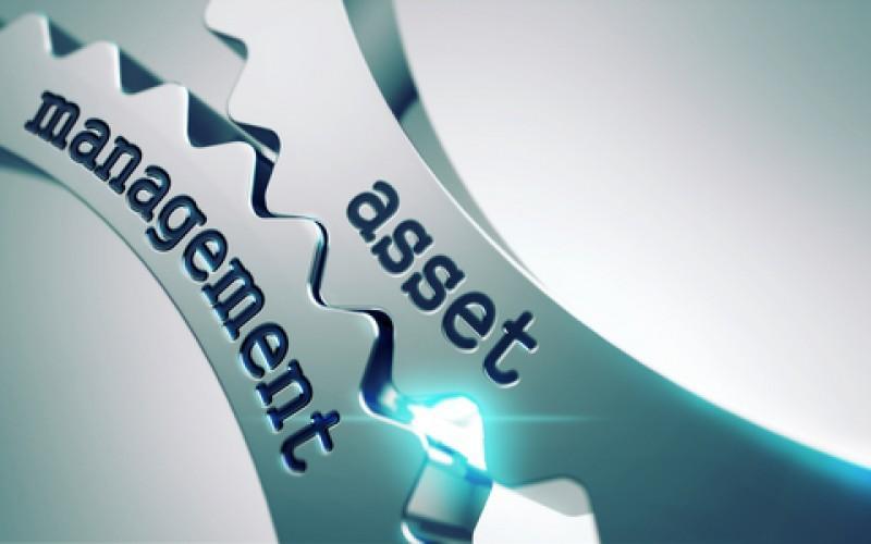 Specialistul IT si conceptul de asset management