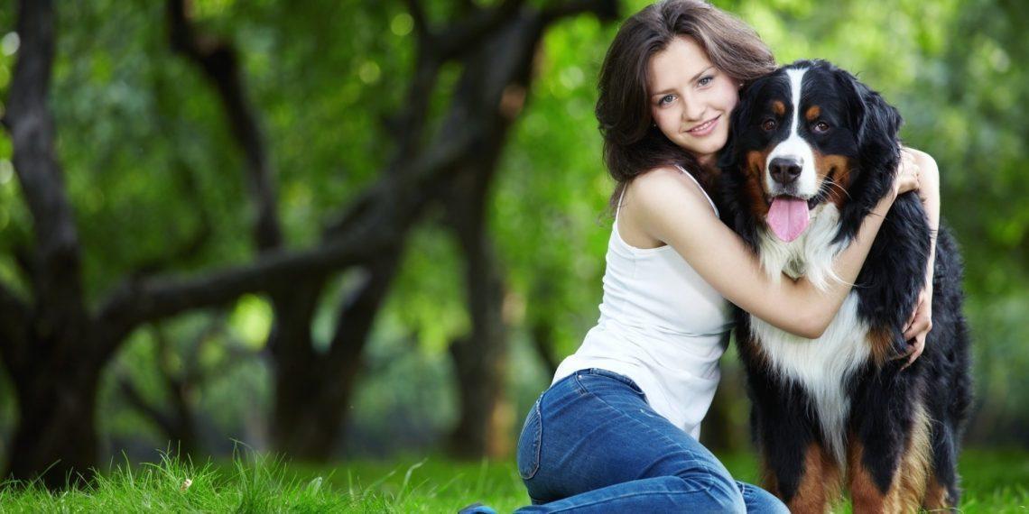 Ingrijirea unui animal de companie: sfaturi pentru un catel sanatos