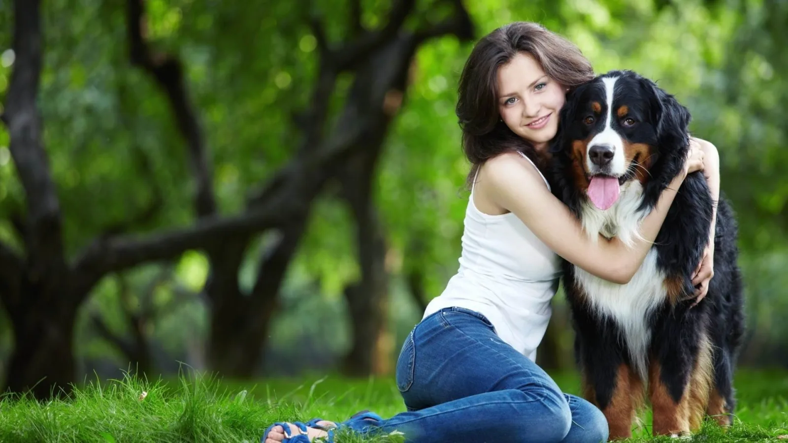 Ingrijirea unui animal de companie: sfaturi pentru un catel sanatos