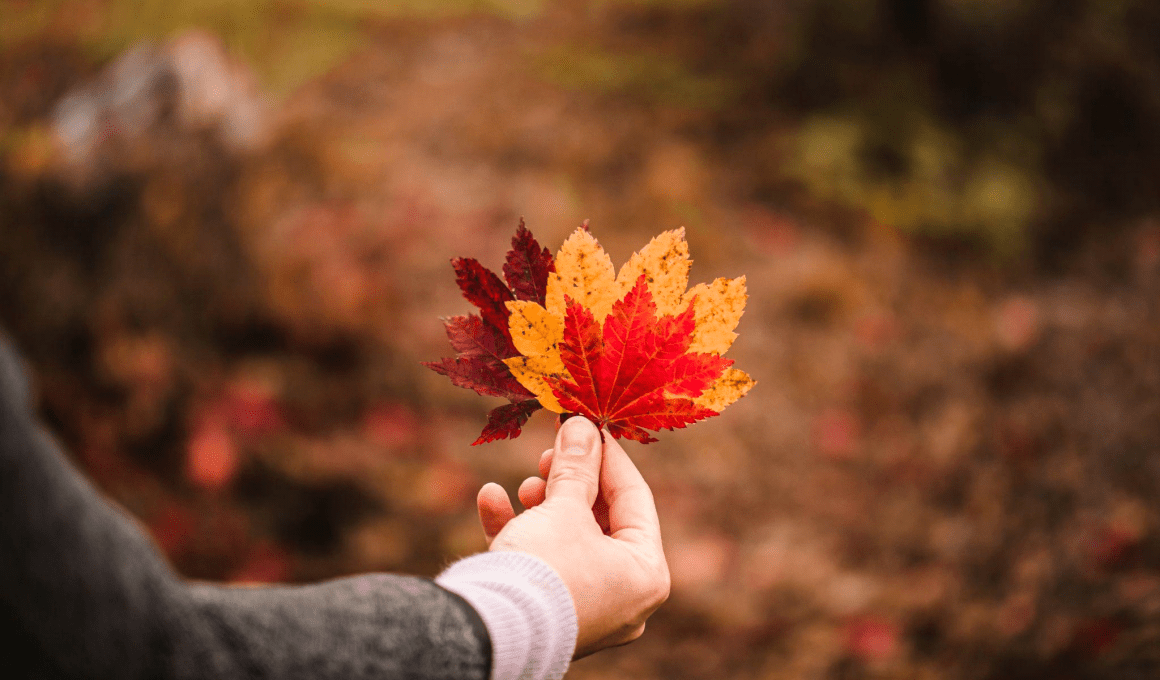 Concediu în noiembrie: destinații de weekend, haine esențiale și sfaturi pentru o cazare inspirată