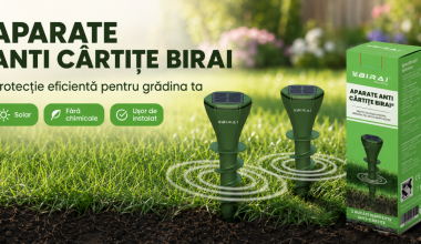 dispozitive anti cartite cu ultrasunete
